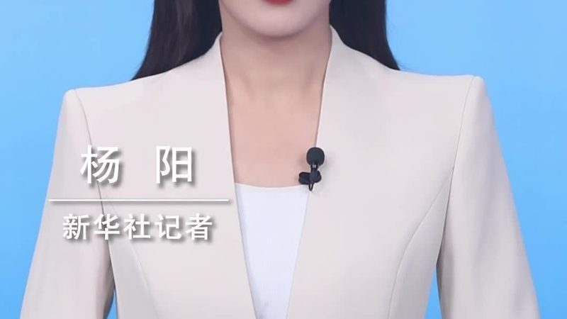 數(shù)據(jù)湖在企業(yè)中的應(yīng)用：構(gòu)建智能化的數(shù)據(jù)基礎(chǔ)設(shè)施**